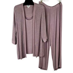 R & M Richard’s Women’s Petite Metallic Ribbed Sparkle Knit Pant Suit 18WP